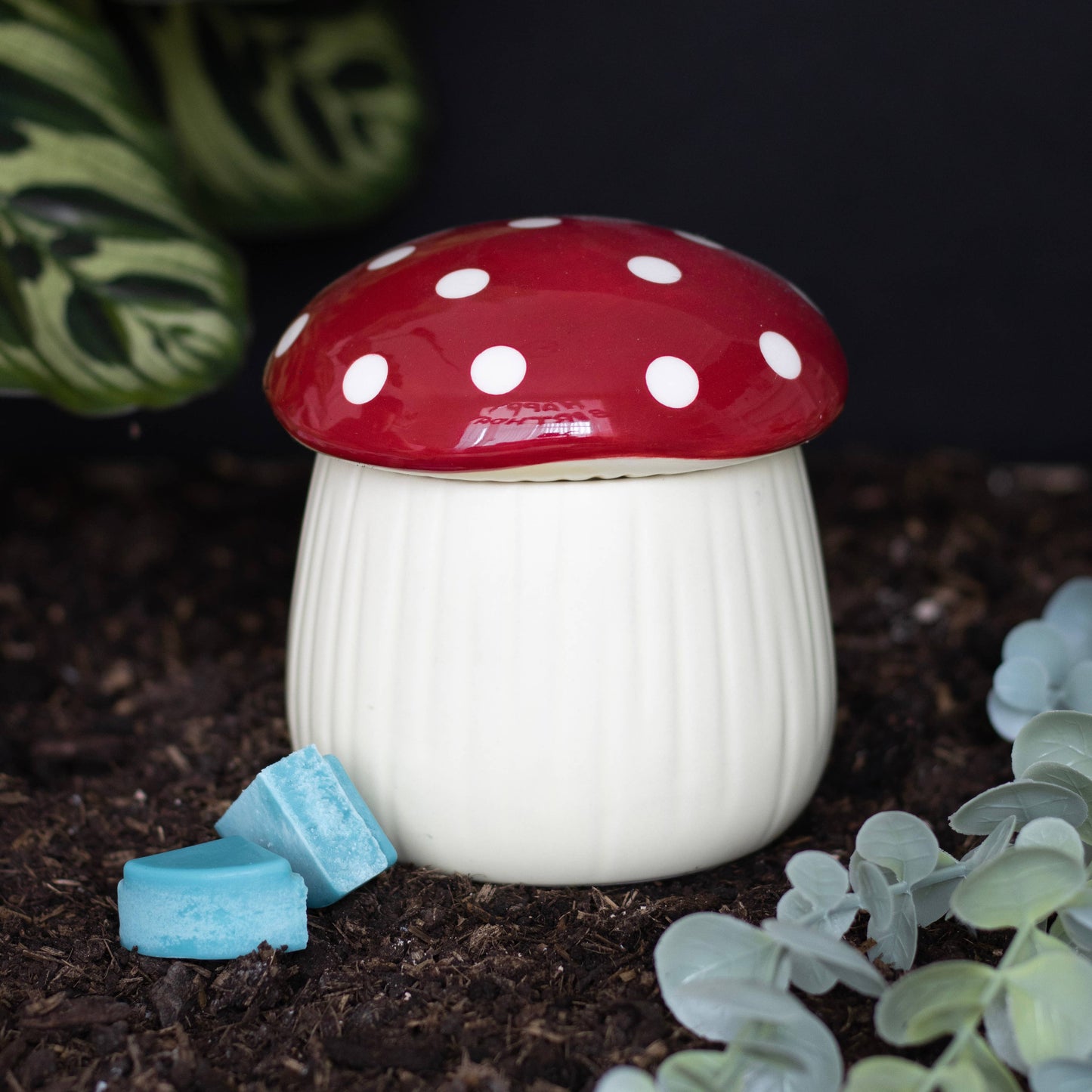 Mushroom Oilburner