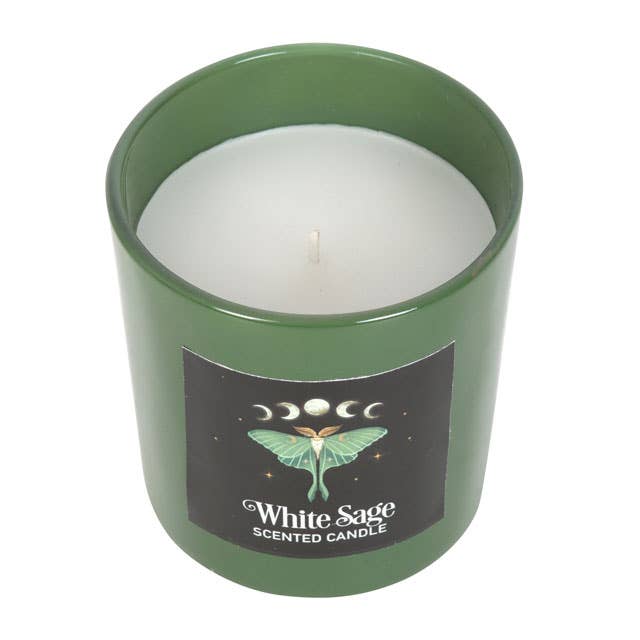 Luna Moth Candle