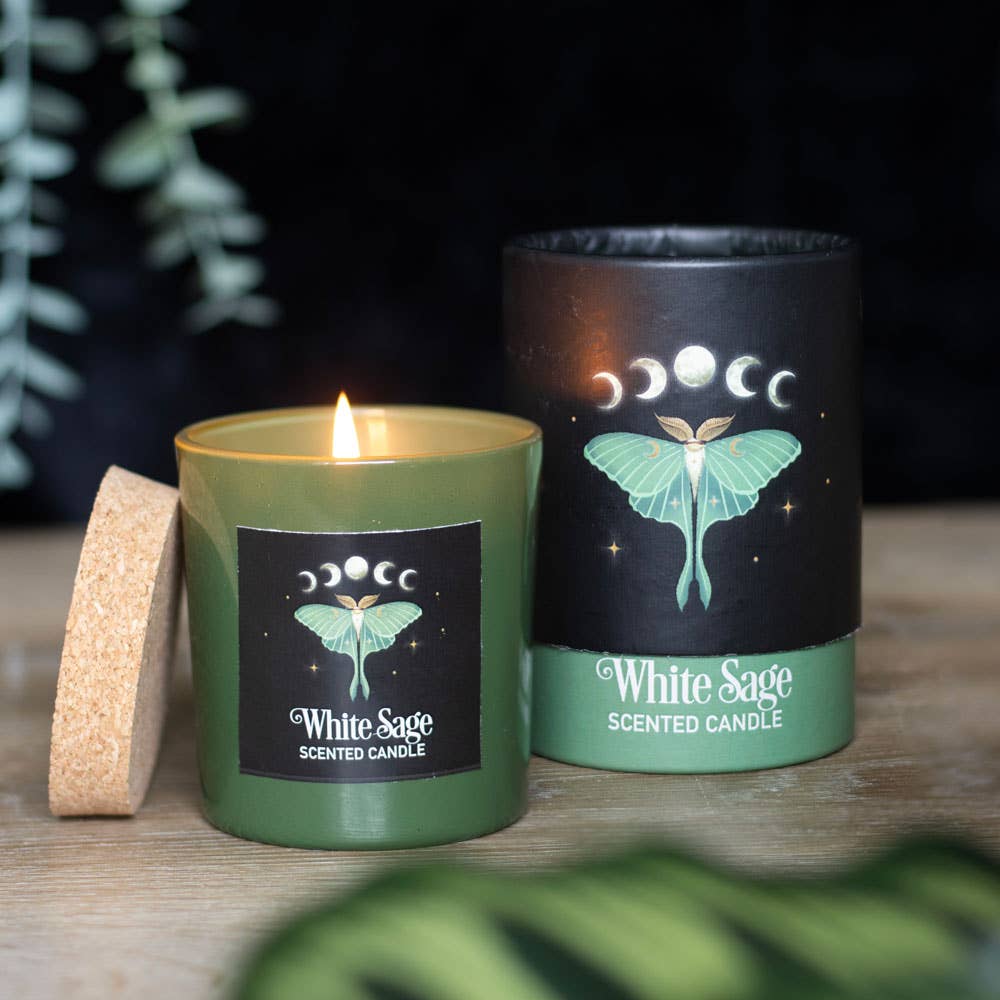 Luna Moth Candle